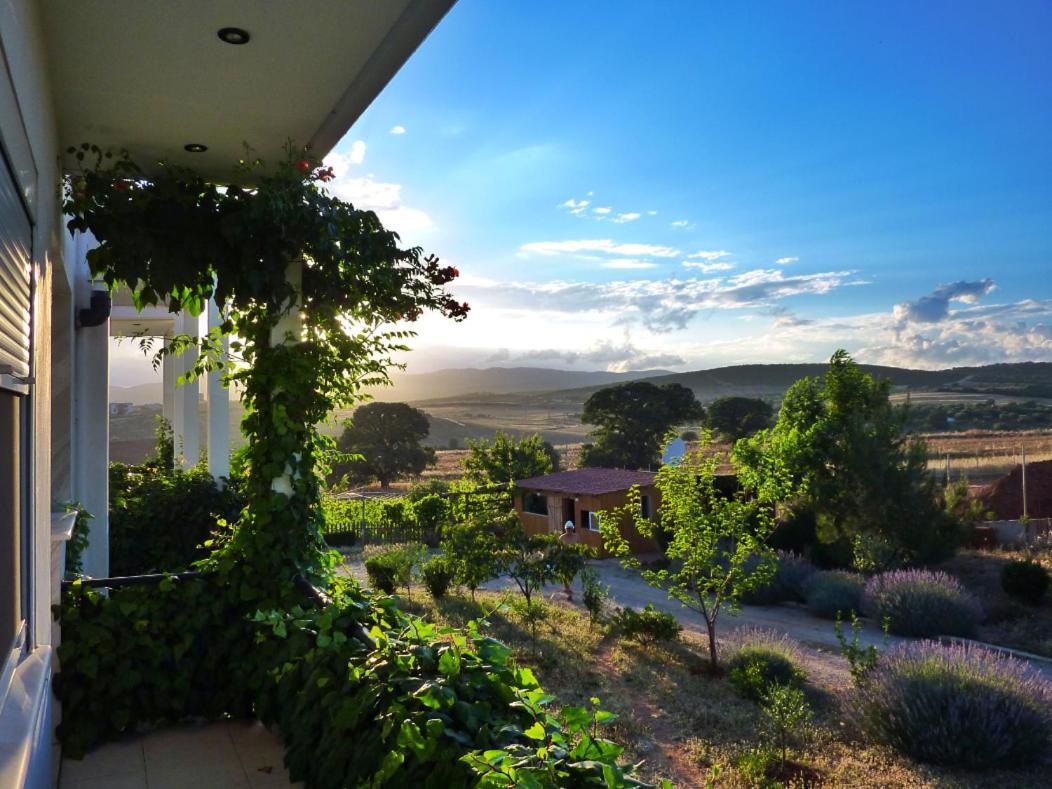 Vineyard Country House With Panoramic Seaview Alexandroupolis Exteriör bild